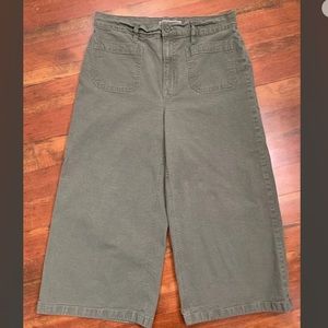 JCrew Point Sur Wide Alegre Crop Chinos Olive